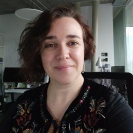 Yolanda Seone Instituto de Ciencias del Patrimonio (INCIPIT)